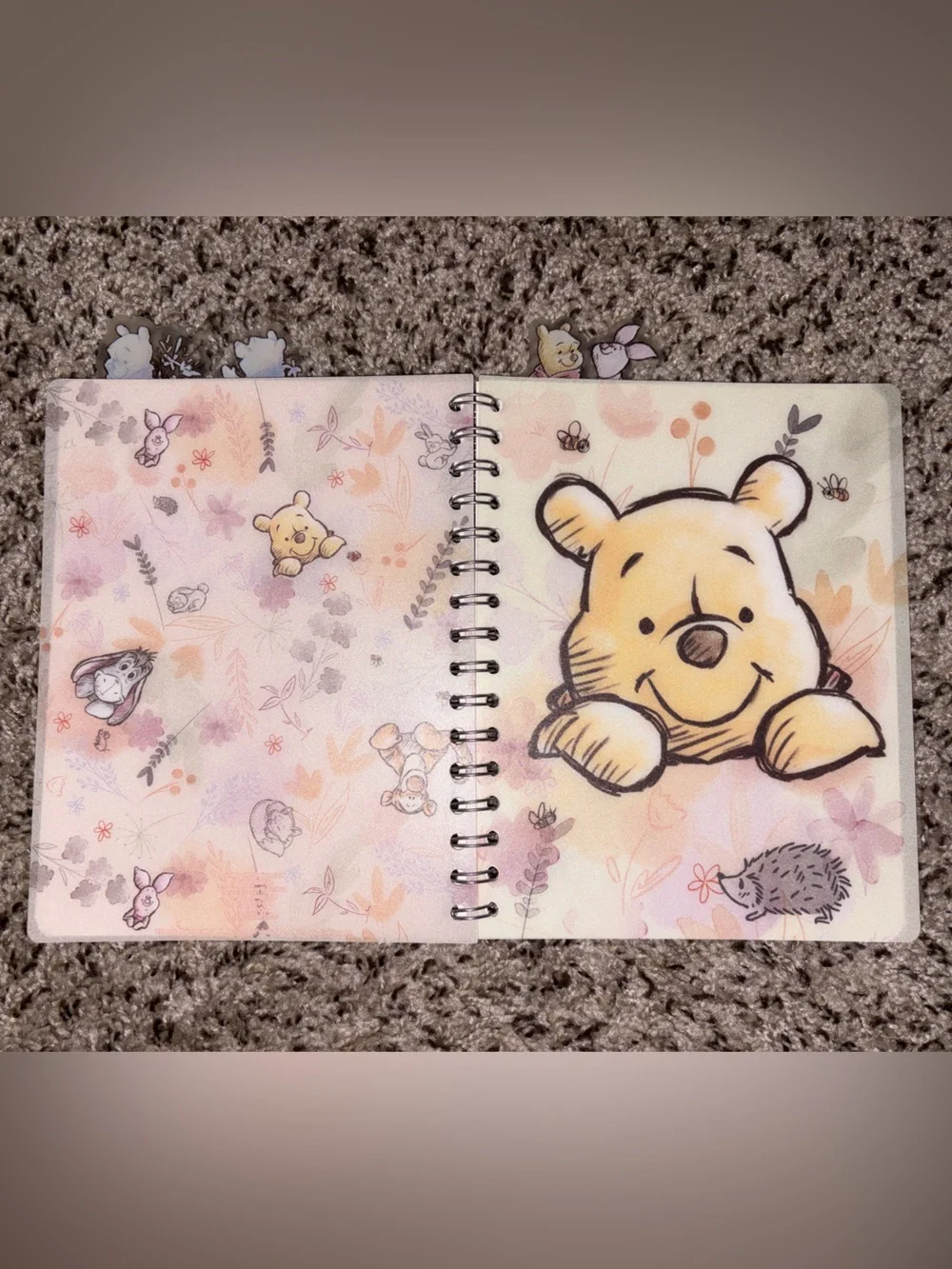 Winnie the Pooh Spiral Notebook
